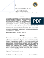 Elaboración de Mermelada de Piña - Alexandra Caballero - Informe.