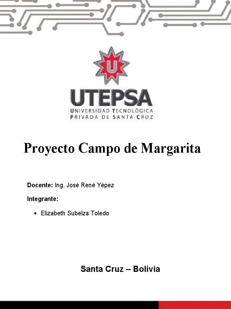 Producción de Gas en Campo Margarita | PDF | Gas natural | Petróleo