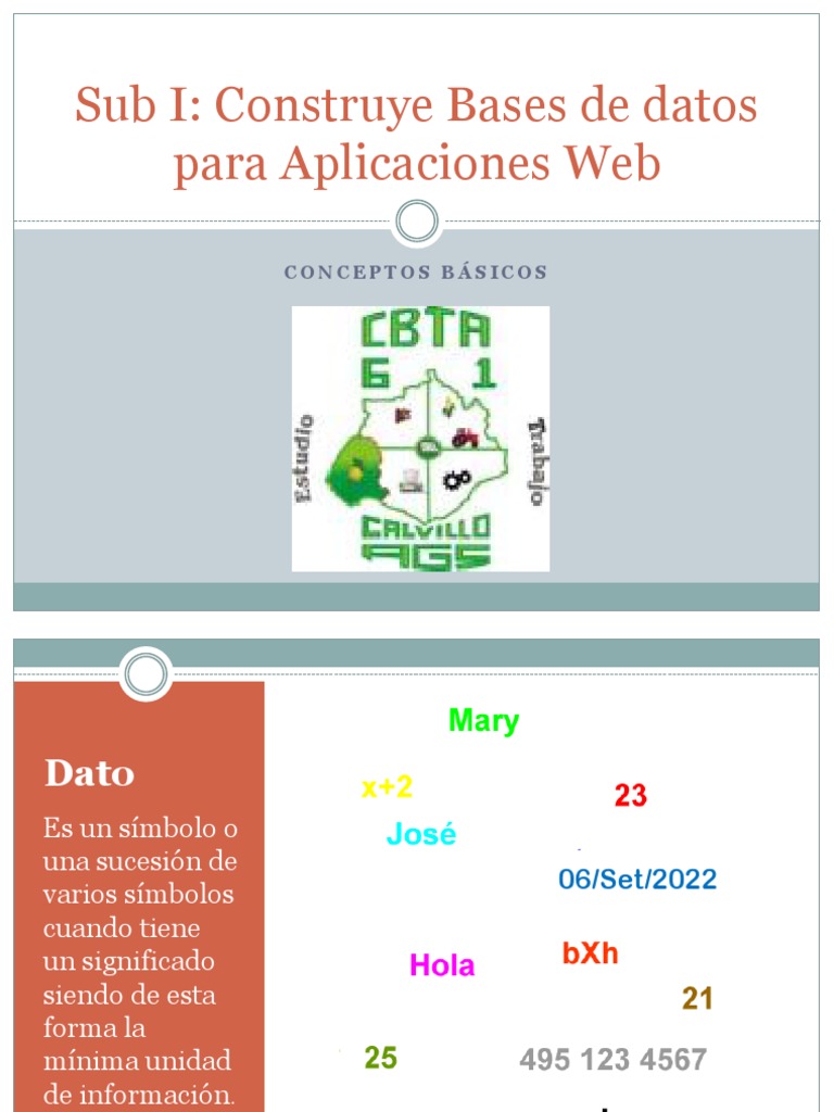 Conceptos Básicos de Base de Datos | PDF