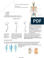 Columna