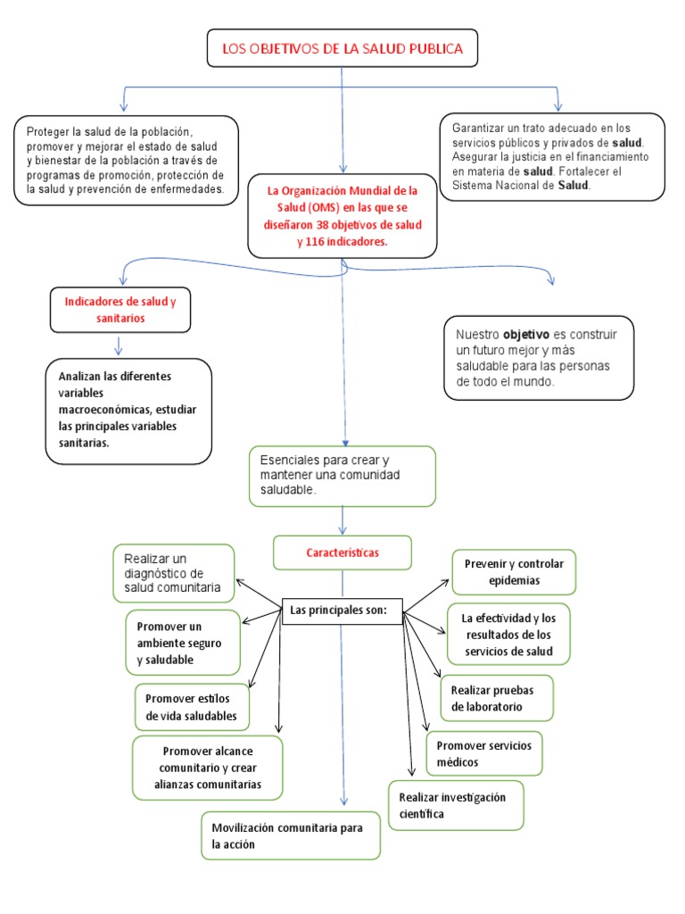 Mapa Conceptual de Salud Pública | PDF | Salud pública | Medicina