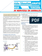 Coordinación Nerviosa en Animales para Tercer Grado de Secundaria 3333