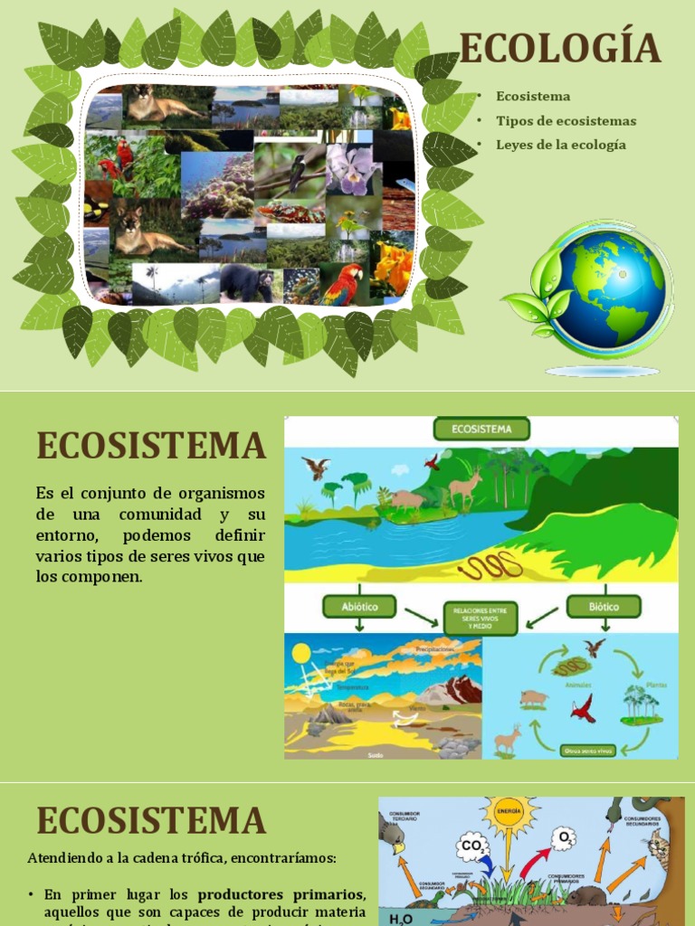 Ecologia (Clase 3), 01-09-20. | PDF | Ecología | Ecosistema