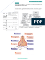 Resumen Farmacología y Endocrinología