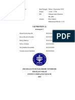 Kelompok 5 - PA2 - Uji Protein Rev2