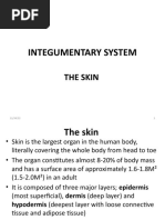 Integumentary System - The Skin