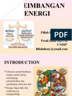Energi Balance 2012
