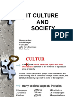 It Culture and Society
