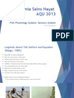 5 Fish Physiology System - Sensory System