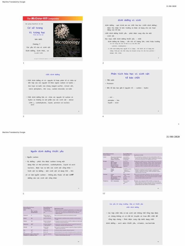 Chapter07 Lecture | PDF