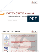 CSaT Framework V1.0