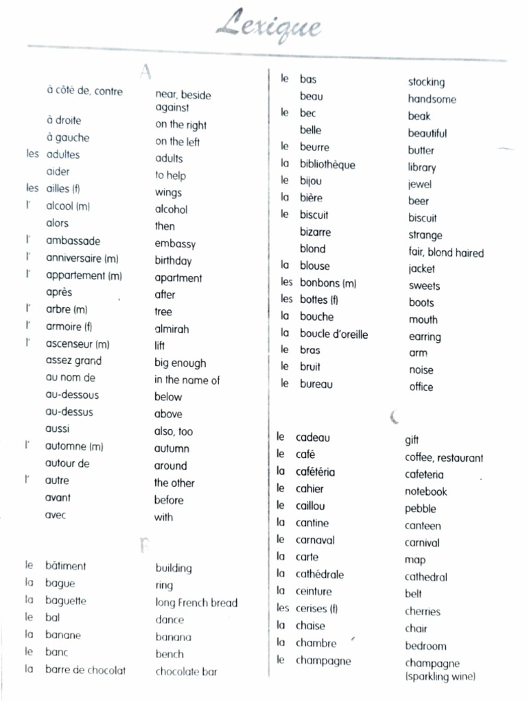 French Vocabulary Essentials | PDF