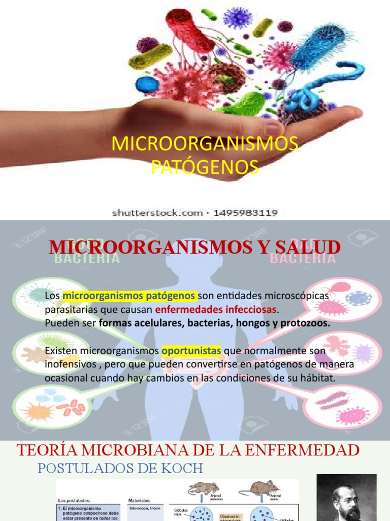 Microorganismos Patógenos | PDF | Microorganismo | Infección
