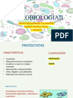 Micro-Protoctistas y Hongos (Autoguardado)