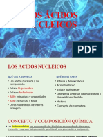 Nucle Tidos y Los Cidos Nucleicos
