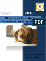 Diabetes tipo 2: Fisiopatología