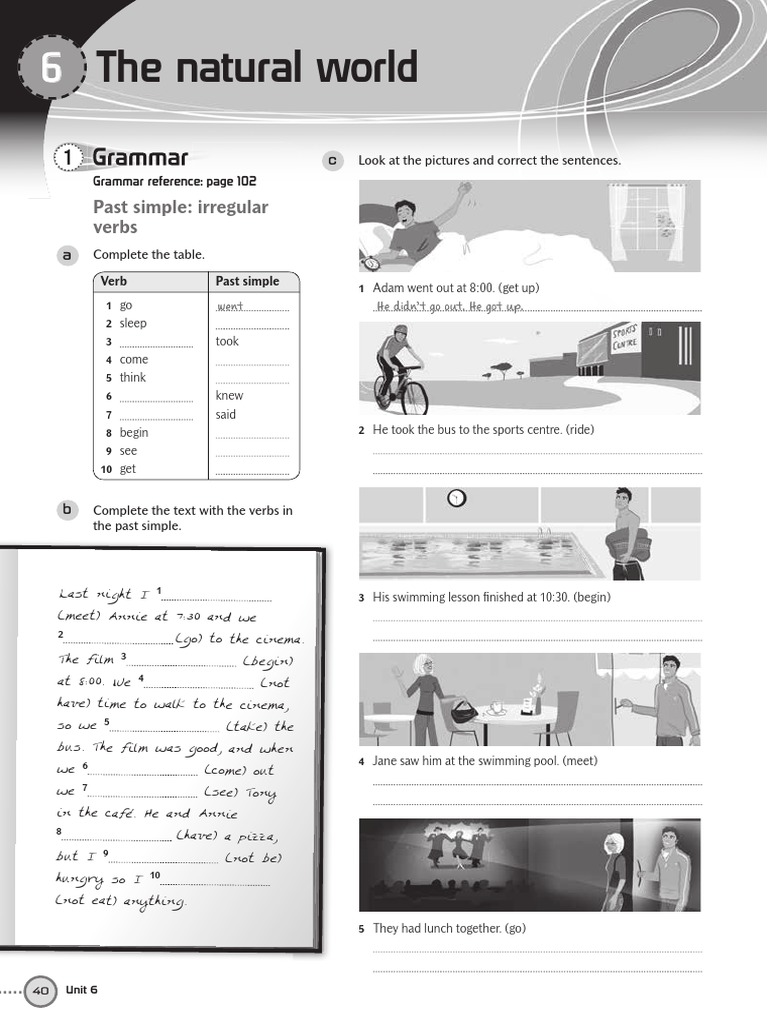 Interactive Workbook Sample | PDF