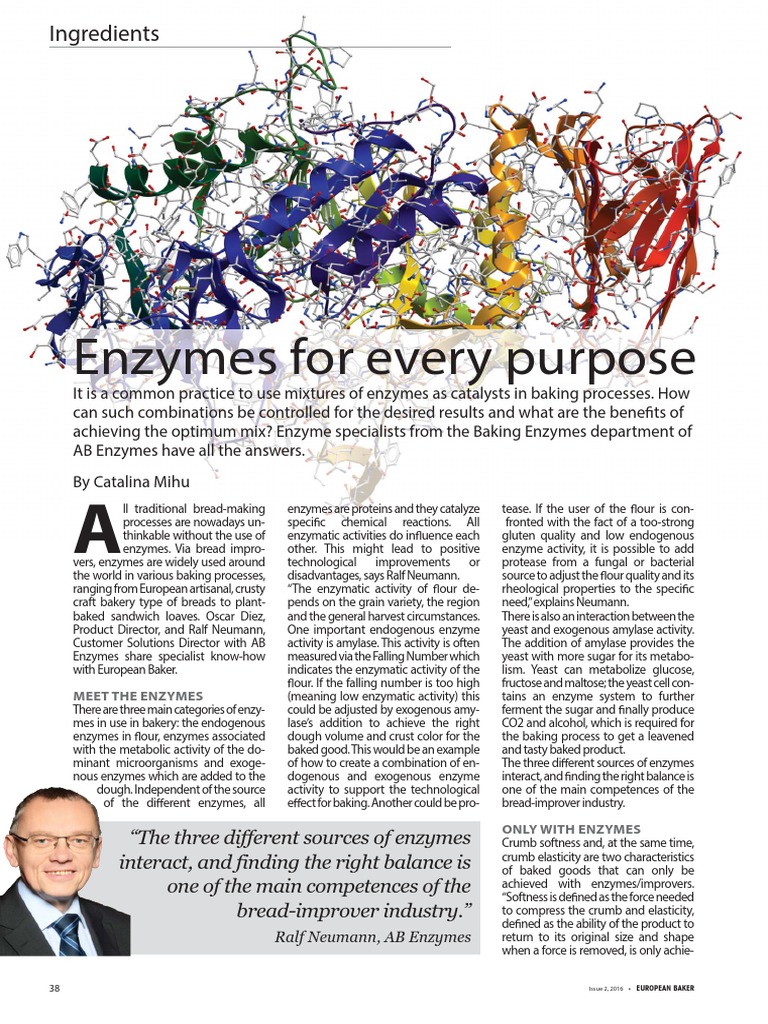 Enzymes For Every Purpose PDF Breads Enzyme