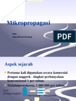 Mikropropagasi - En.id