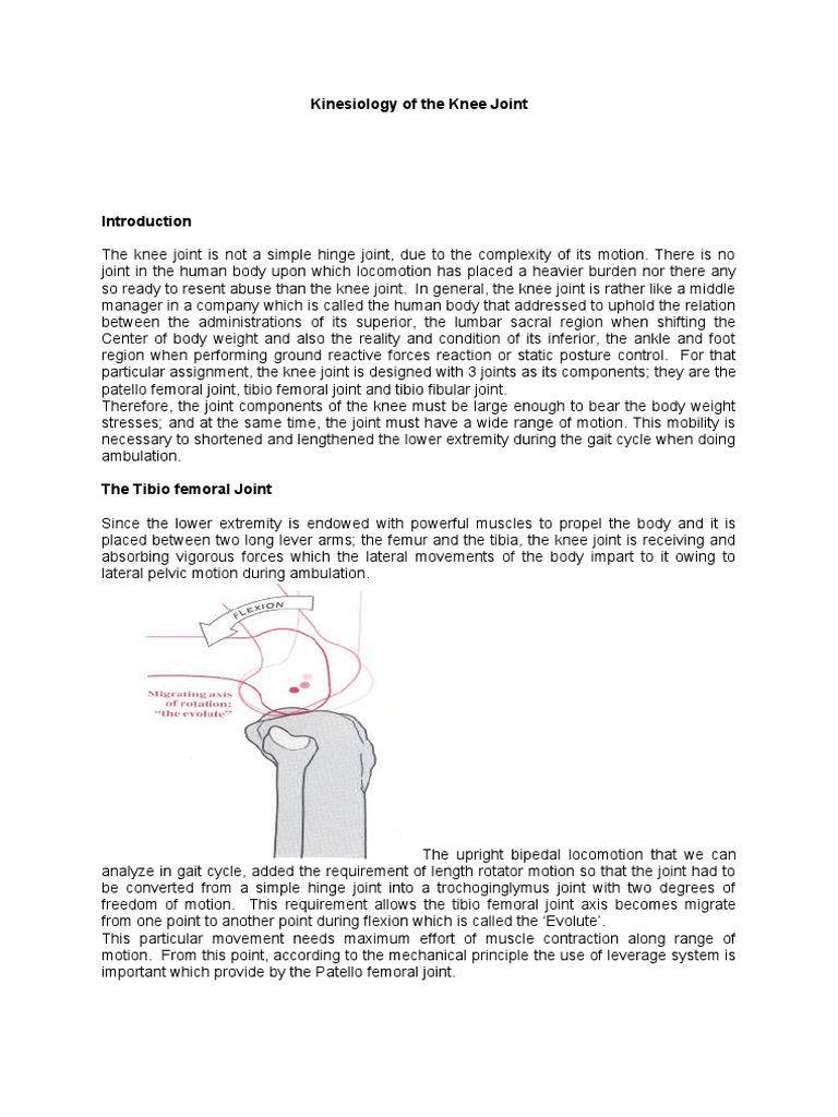 Kinesiology Of The Knee Joint Download Free Pdf Knee Anatomical