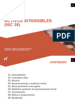 NIC 38 Activos Intangibles