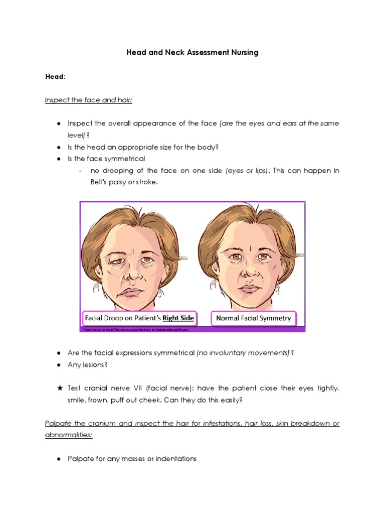 Head and Neck Assessment Nursing PDF Neck Anatomy
