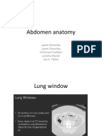 Abdomen Anatomy CT