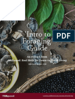 Intro To Foraging Guide Milkwood Book Extract