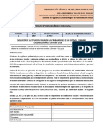 Segundo Informe Epidemiologico Visual