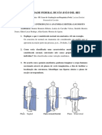 Trabalho I de Morfologia I UFSJ Bioquímica