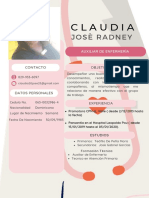 Currículum CV Diseñador Gráfico Creativo Profesional Femenino Rosa