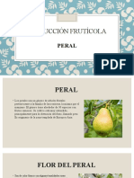 Producción Frutícola