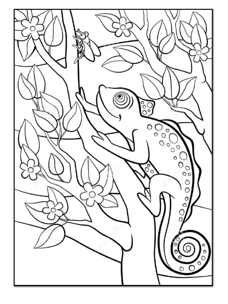 Camouflage Coloring Sheet