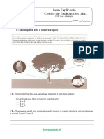 B.1.1 - Ficha de Trabalho - Níveis de Organização Dos Ecossistemas