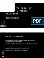 Evaluación Fetal 2do 3er Trimestre