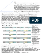 M09.Zestaw Protokołów TCP - IP