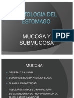 Histologia Del Estomago