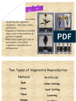 Vegetative Reproduction