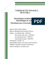 Metodologías Tradicionales y Metodologías de Agiles