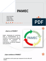 Pamec COMPLETA