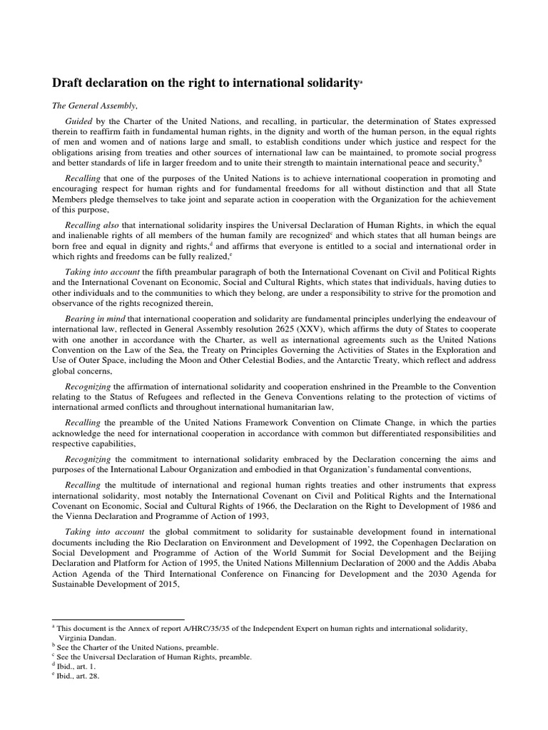 Draft Declaration Right International Solidarity Pdf Human Rights