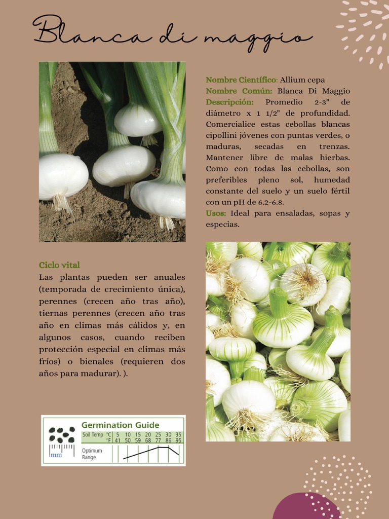Catalogo de Semillas | PDF