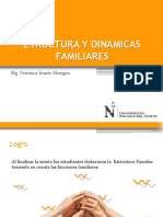 Unidad Ii, Clase 6, Estructura y Dinamicas Familiares