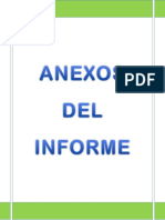 Tapa - Anexo Del Informe
