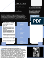 Plantilla Infografia Word 07