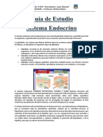 El Sistema Endocrino-22