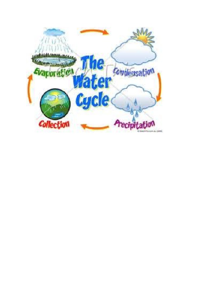 Water Cycle | PDF