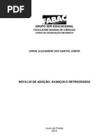 MONOGRAFIA NOVA LEI ADOÇÃO