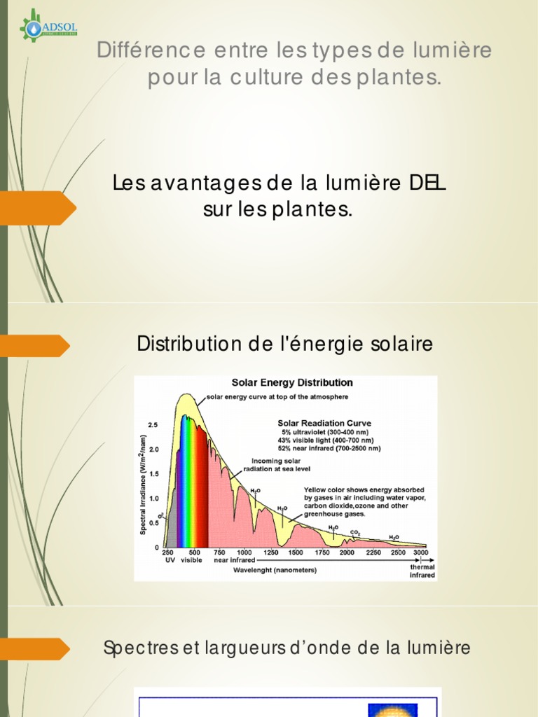 Différence Types Lumières | PDF | Chlorophylle | Lumière