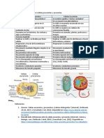 Tarea-Célula Procariota y Eucariota-Diferencias